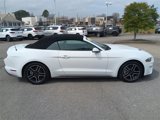 Used 2020 Ford Mustang Premium image 5