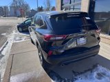 New 2025 Ford Escape ST-Line w/ Tech Pack #1 image 5