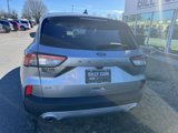 Used 2022 Ford Escape SE image 3