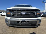 New 2025 Ford F150 XLT w/ Equipment Group 301A Standard image 3