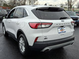 Certified 2022 Ford Escape SE w/ Cold Weather Package image 4