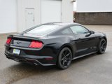 Used 2019 Ford Mustang Coupe w/ Equipment Group 101A image 3