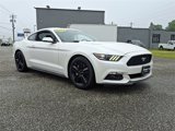 Used 2017 Ford Mustang Premium w/ Ecoboost Performance Package image 4