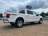 Used 2019 Ford F150 Platinum w/ Equipment Group 701A Luxury image 5