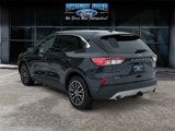 Certified 2022 Ford Escape SEL image 3