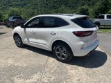 New 2024 Ford Escape ST-Line w/ Tech Pack #1 image 5