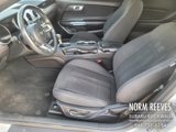Used 2019 Ford Mustang Coupe w/ Equipment Group 101A image 3