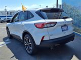 Certified 2022 Ford Escape SE w/ SE Sport Appearance Package image 3