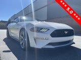 Used 2019 Ford Mustang GT Premium w/ Equipment Group 401A image 3
