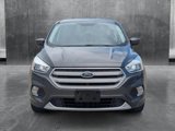 Used 2019 Ford Escape SE image 2