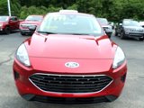 Used 2021 Ford Escape SE w/ SE Sport Appearance Package image 4