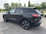 Used 2022 Ford Escape SE w/ SE Sport Appearance Package image 5