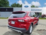 Certified 2022 Ford Escape SE w/ Convenience Package image 4