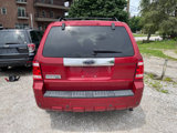 Used 2009 Ford Escape Limited image 5