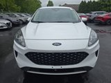 Used 2020 Ford Escape SE image 2