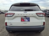 Used 2021 Ford Escape SE w/ SE Sport Appearance Package image 5