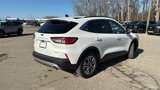 Used 2022 Ford Escape SEL image 5