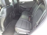 New 2024 Ford Escape ST-Line Select w/ Tech Pack #1 image 6