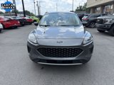 Used 2022 Ford Escape SE w/ Cold Weather Package image 2