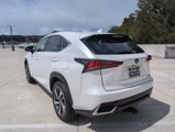 Used 2021 Lexus NX 300h AWD w/ Premium Package image 5