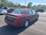 Used 2005 Chevrolet Malibu LS w/ Preferred Equipment Group image 5