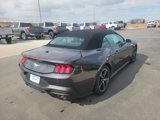 Used 2024 Ford Mustang Convertible image 5