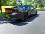 Used 2016 Dodge Charger R/T w/ Navigation & Travel Group image 3