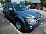 Used 2011 Ford Escape XLT w/ 201A Rapid Spec Order Code image 4