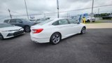 Used 2020 Honda Accord EX-L image 3
