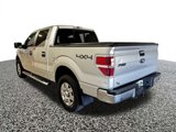 Used 2011 Ford F150 XLT w/ XLT Chrome Pkg image 3