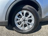 Used 2024 Ford Escape Active w/ Tech Pack #1 image 4