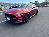 Used 2021 Ford Mustang Coupe w/ Equipment Group 101A image 4