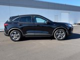 New 2025 Ford Escape ST-Line w/ Cold Weather Package image 3