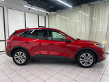 Used 2022 Ford Escape SEL image 5