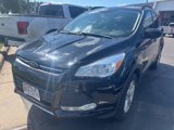 Used 2016 Ford Escape SE w/ SE Leather Comfort Package image 4