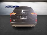 Used 2022 Ford Escape Titanium image 4