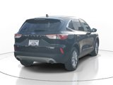 Used 2020 Ford Escape SE image 4