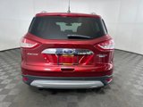 Used 2014 Ford Escape Titanium image 4