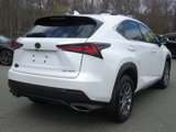 Used 2019 Lexus NX 300 AWD image 6
