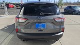 Used 2022 Ford Escape SE w/ SE Sport Appearance Package image 6