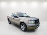 Used 2004 Ford F150 XLT image 3
