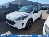 Used 2022 Ford Escape SE w/ SE Sport Appearance Package image 3