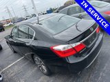Used 2013 Honda Accord Sport image 5