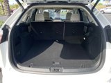 Used 2022 Ford Edge Titanium w/ Equipment Group 301A image 5