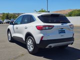 Used 2020 Ford Escape SE image 4