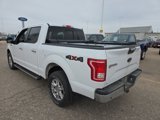 Used 2017 Ford F150 XLT w/ Equipment Group 302A Luxury image 3