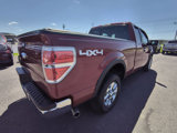 Used 2013 Ford F150 XLT w/ Luxury Equipment Group image 5