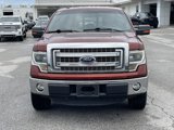 Used 2014 Ford F150 XLT w/ Equipment Group 302A Luxury image 2