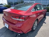Used 2019 Hyundai Sonata Limited image 5