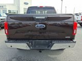 Certified 2018 Ford F150 XLT w/ Equipment Group 302A Luxury image 5
